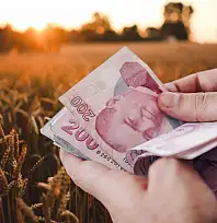Üreticilere müjde! TMO düğmeye bastı, tarihler açıklandı
