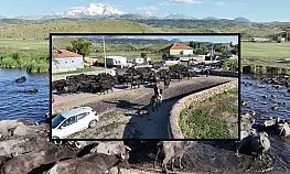 Erciyes'in eteklerinde Afrika safarisini aratmayan görüntüler!