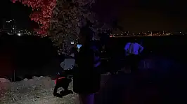Ağaçta asılı halde ölü bulundu!