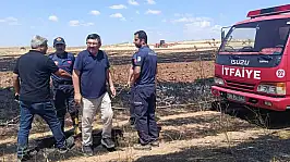 Anız yangının ardından Özsolak'tan uyarı!