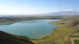 Kayseri'de barajın içinden çıktı! Ekipler görünce hemen harekete geçti
