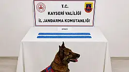 Kayseri'de jandarmanın operasyonunda çarpıcı rakam! Tek tek ele geçirildi