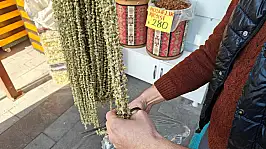 Kayseri'de Ramazan ayının gözdesi bamyanın fiyatı ne kadar oldu?