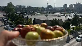 'Ölümsüzlük Meyvesi' Kayseri tezgâhlarında yerini aldı!