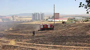 Buğday Tarlasındaki Yangının Dumanı Kazaya Neden Oldu: 1 Yaralı