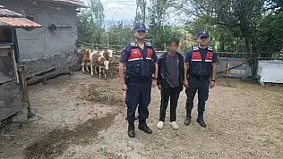 Yozgatlı çiftçinin iki büyükbaşı kayboldu, imdadına jandarma koştu!