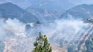 Kahramanmaraş'ta bahçe yangını korkuttu