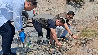 Kahramanmaraş'ta kaçak saka kuşu avına operasyonu!