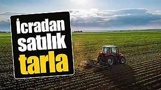 Kayseri'de 249 bin metrekarelik tarla icradan satışa çıkarıldı