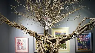 Kayseri'de gündem Erciyes: Özel organizasyon için geri sayım başladı