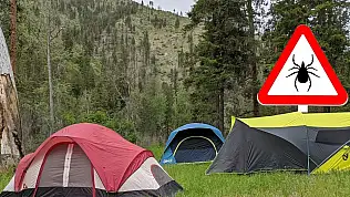 Kayseri'de kamp sezonu başladı: Kene tehlikesine dikkat!