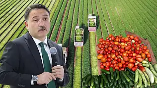 Kayseri'de tarımda dev hamle! Üretim 70 bin tona çıkacak
