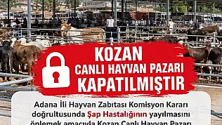 Canlı hayvan pazarı şap hastalığı nedeniyle kapatıldı!