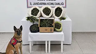 Niğde'de jandarmadan uyuşturucu operasyonu: Kilolarca ele geçirildi!