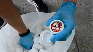 Binlerce sentetik hapla birlikte yakalandılar
