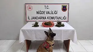 Niğde'de Jandarmadan uyuşturucu operasyonu!