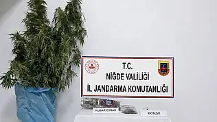 Jandarma adrese basınca yakayı ele verdi