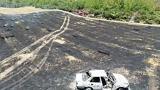 Adana'da park halindeki araç alev alınca ormanlık alan yandı