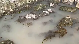 Sarız'da Ziyaret Suyu'nun görüntüsü dikkat çekti!