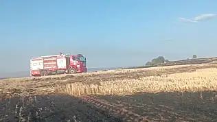 Anız ateşi ormana sıçradı: Mahkemeden tutuklama kararı