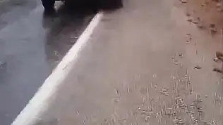 4 öğretmene mezar olan Tırtat mevkiinde kayalar düşmeye devam ediyor!