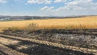 Yozgat'ta korkutan yangın! Alevler 10 dönüm araziyi yok etti