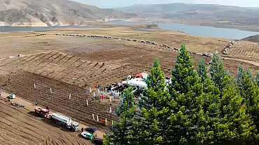 Kayseri'de Yeşil Vatan'a büyük katkı: Binlerce fidan toprakla buluşacak!