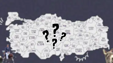 Kayseri’deki eşek sayısı ortaya çıktı!