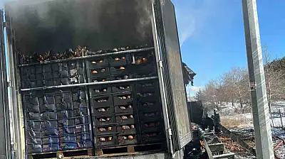 Pozantı Otoyolunda Korku Dolu Anlar