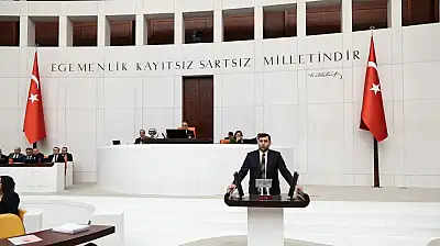 Baki Ersoy'dan ehliyet affı talebi!