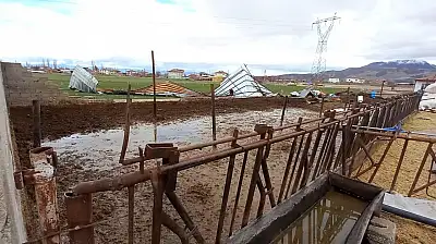 Develi'de şiddetli rüzgar ahırın çatısını uçurdu