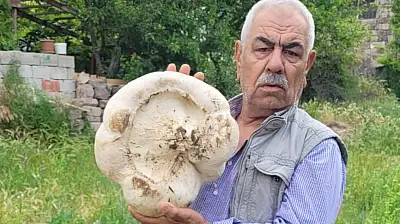 Kayseri'de devasa büyüklükte mantar bulundu