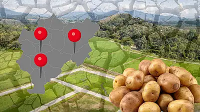 Kayseri'de geçtiğimiz sezon krize neden olmuştu: Valilik harekete geçti!