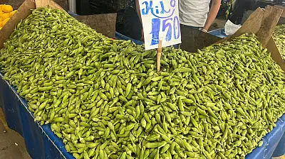 Kayseri'de pazar günü semt pazarı nerelerde kurulacak? (03 Ağustos)