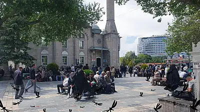 Kayseri'de şikayetler arttı: Vatandaşı canından bezdiren istila!