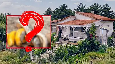 Kayseri'de sinsi tehlike: Evine girdi, ne yapacağını şaşırdı… Bağ evinde yaşayanlar dikkat!