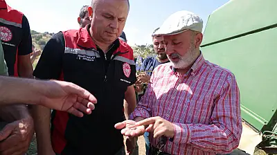 Kayseri'de tarlaya ilk kez ekildi! Çiftçiye yeni gelir kapısı olabilir