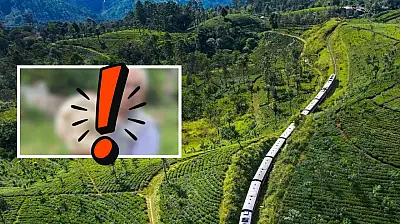 Kayseri'ye bereket geldi: O üründe bolluk yaşanıyor, kilosu 250-500 TL arasında!