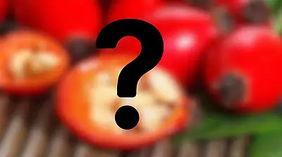 Kilosu 500 TL'den satılıyor! Kayseri'de vatandaşlar peynir ekmek gibi satın alıyor