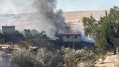 Rüzgarın etkisiyle yayılan yangında 7 bağ evi yandı
