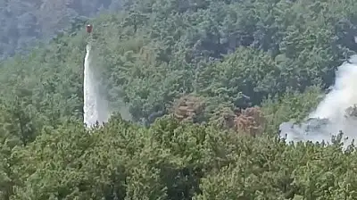 Kozan'da söndürülen yangın yeniden başladı! Ekipler alarma geçti