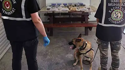 Yılın ilk ayında 1,7 milyar liralık uyuşturucu yakaladı