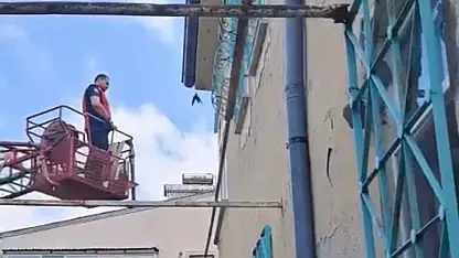 Develi'de kırlangıç için seferber oldular