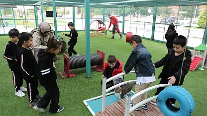 Kedi Kasabası'na yoğun ilgi!