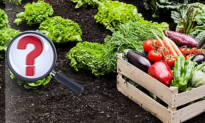 B-Reçete sistemi başlıyor: Sistem nasıl işleyecek?