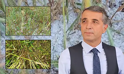 Başkan Koç'tan üreticilere çağrı: Süreç başladı!