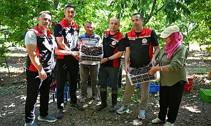 Bülent Saklav kiraz hasadına katıldı