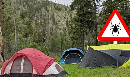 Kayseri'de kamp sezonu başladı: Kene tehlikesine dikkat!