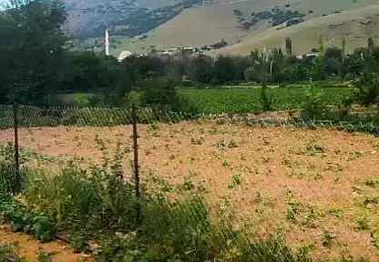 Kayseri'de bir üretici maliyet kurtarmadı dedi elma ağaçlarını söktü
