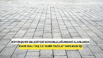 Büyükşehir Belediyesi Sorumluluğundaki Alanlarda İdare Malı Taş İle Tamir Tadilat Yapılması İşi